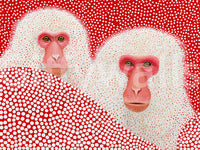 Snow Monkey Polka Dot Portrait Wall Mural