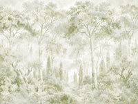 Eucalyptus Green Tuscan Forest Path Wall Mural Wall Mural