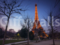Architectural Twilight Parkscape Wall Mural