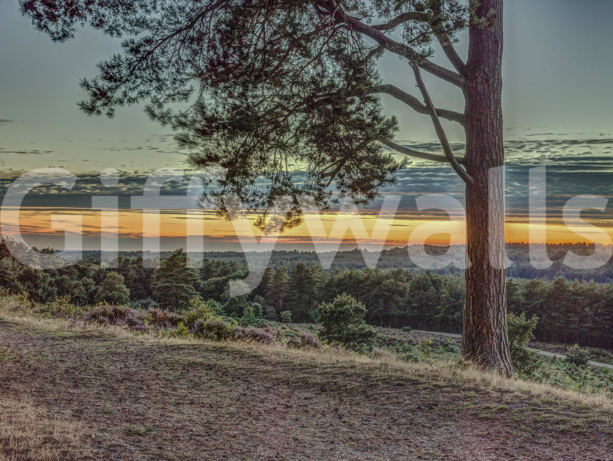 Wilderness Dusk Horizon Wall Mural