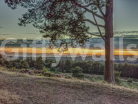 Wilderness Dusk Horizon Wall Mural