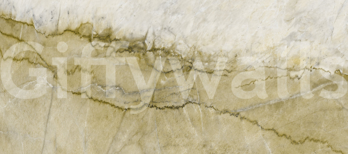 Earth Tone Natural Stone Marble Texture Wall Mural