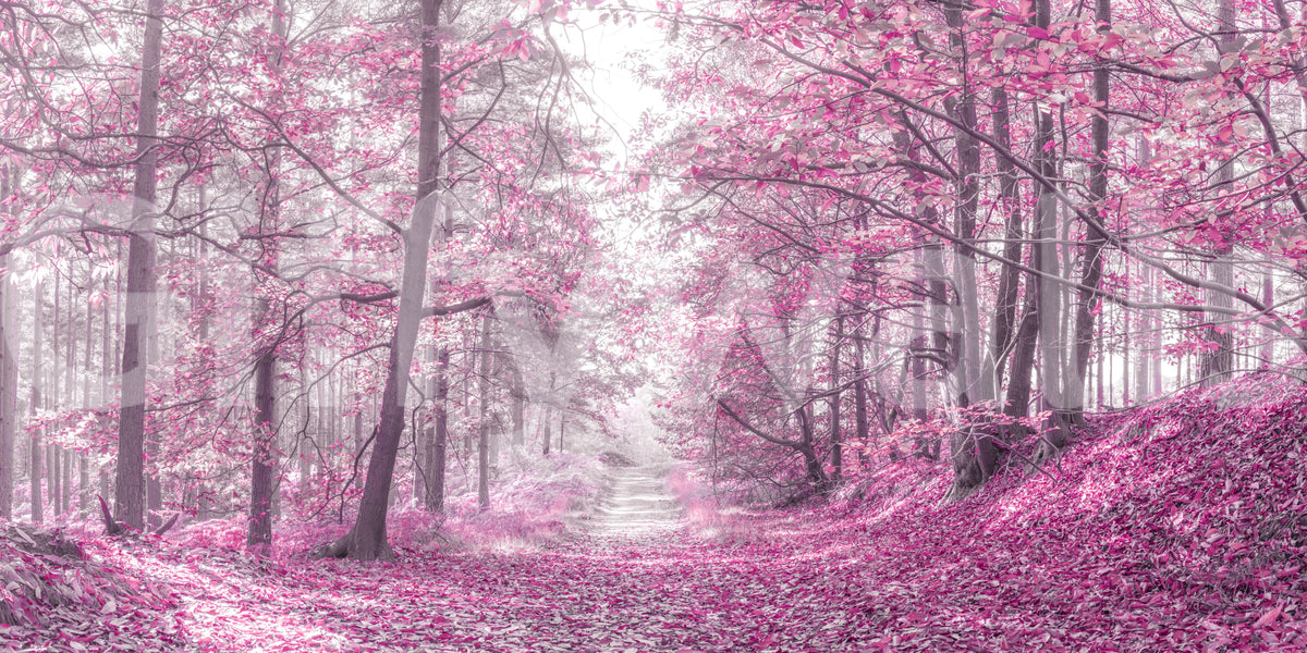 Magenta Woodland Pathway Wall Mural
