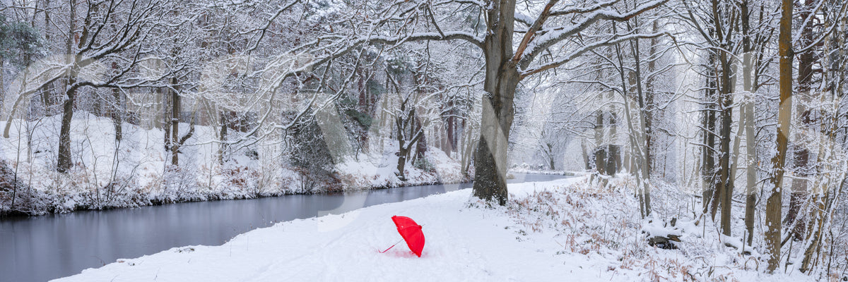 Frozen Creek and Red Umbrella Wall Mural