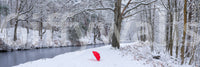 Frozen Creek and Red Umbrella Wall Mural
