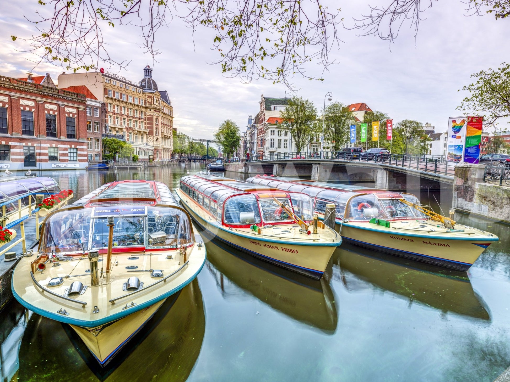 The image feels peaceful and restful, like a quiet day by the water.

