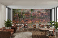 Peeling paint or textured concrete.

