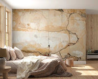 Rough plaster detailing on Weathered Walls Wall Mural with vintage surface look