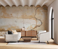 Timeworn plaster finish on Weathered Walls Wall Mural with natural cracking