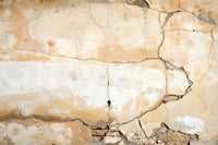 Rustic damaged wall style in Weathered Walls Wall Mural with warm neutral base