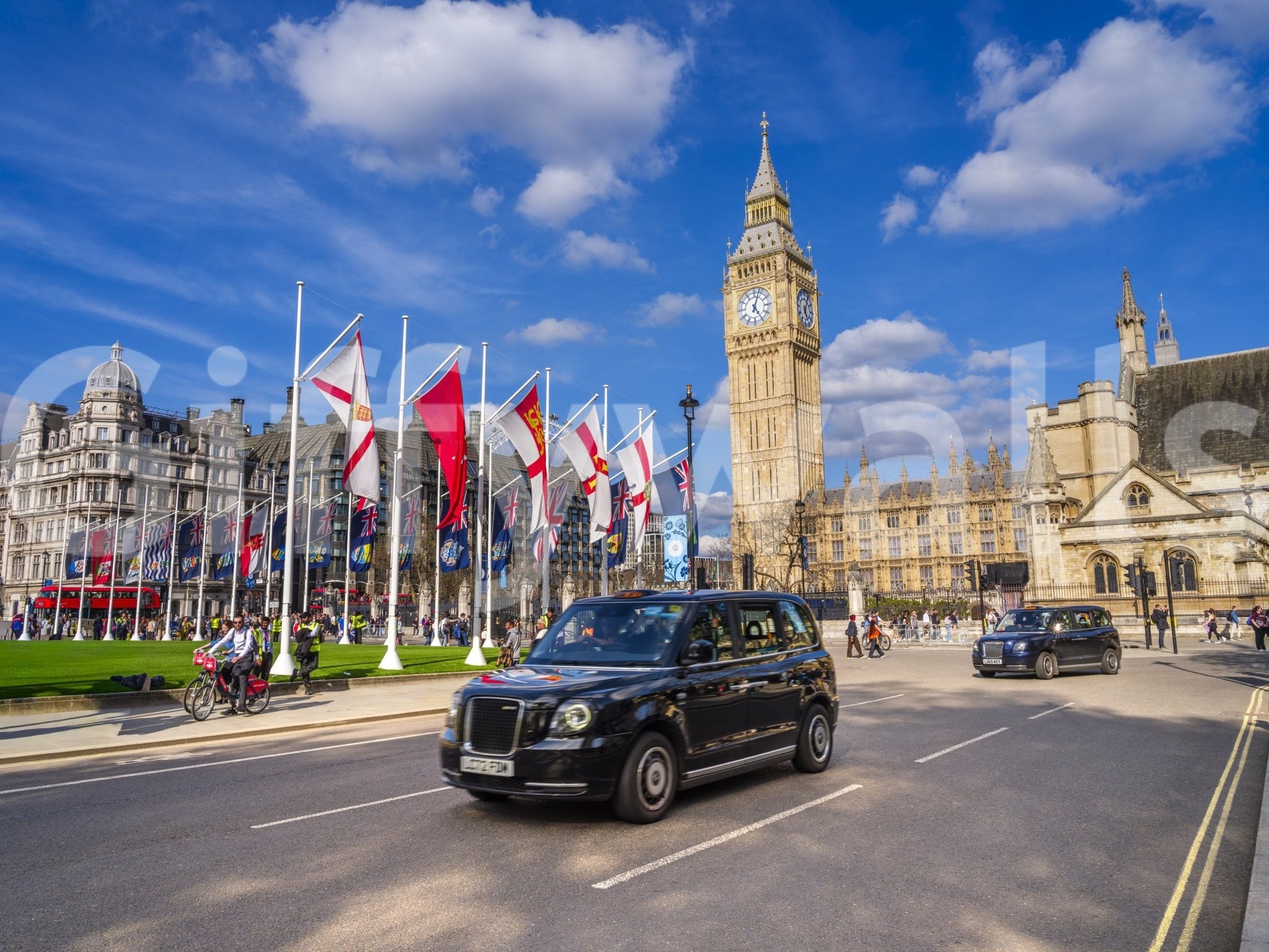 Westminster View Wall Mural