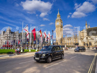 Westminster View Wall Mural