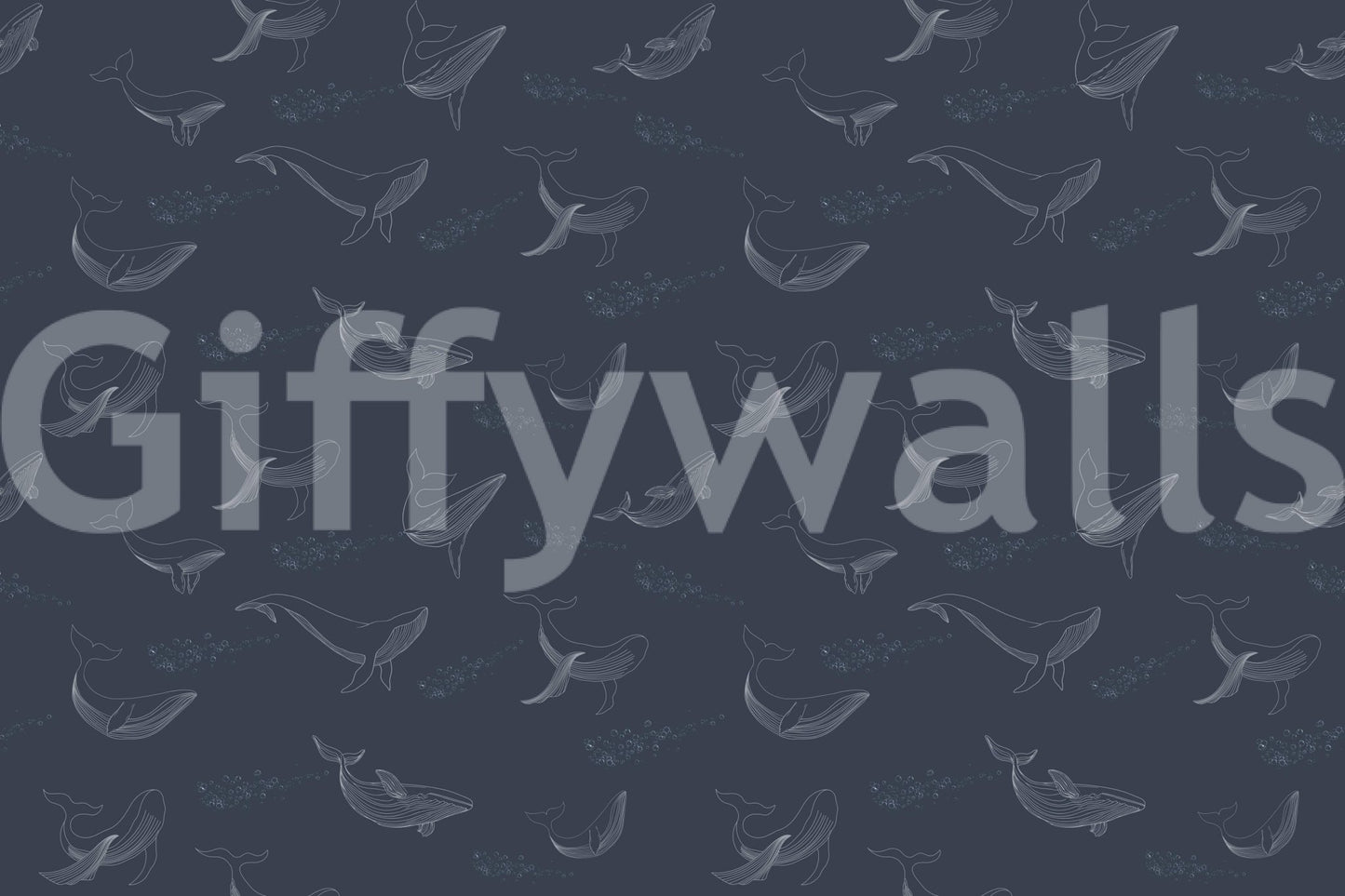 Whale Song Serenade Wall Mural displaying calm underwater light