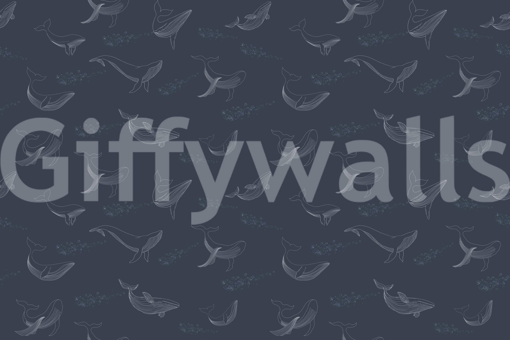 Whale Song Serenade Wall Mural displaying calm underwater light