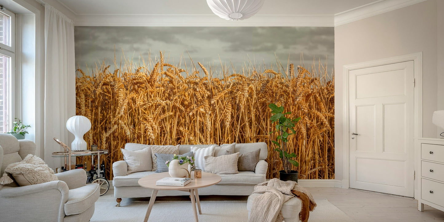 Scenic wheat landscape mural for home


