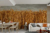 Golden wheat field wallpaper for walls

