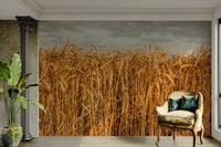 Golden field wall mural for bedroom

