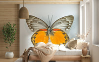 Whimsical Butterfly Wall Mural with a clean white background.