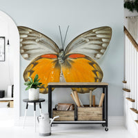 Vibrant winged insect wallpaper for a colorful interior style.