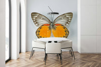 Delicate butterfly pattern wallpaper with soft blue and pink tones.