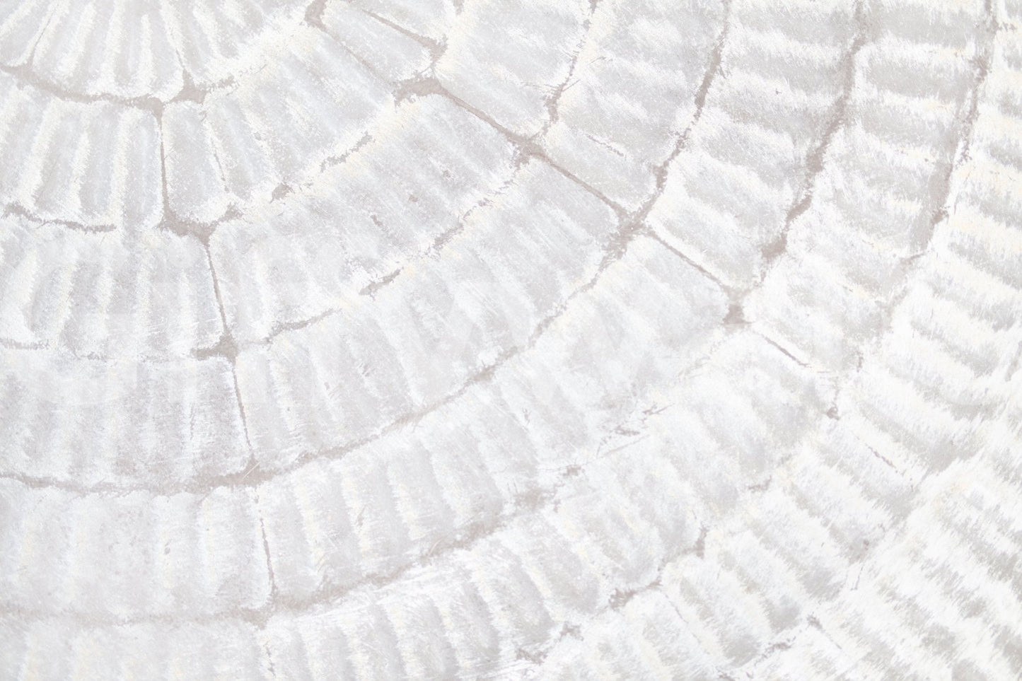 Corner view of a hallway brightened by the soft Whispered Texture wallpaper for walls.