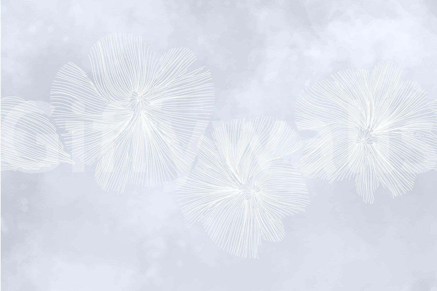 The design is uncluttered and minimal.

