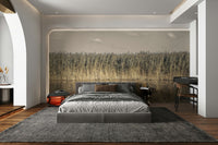 Tall dry grass by water GD3143


