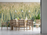 Peaceful rural Whispering Wheat Fields Wall Mural view graphic.