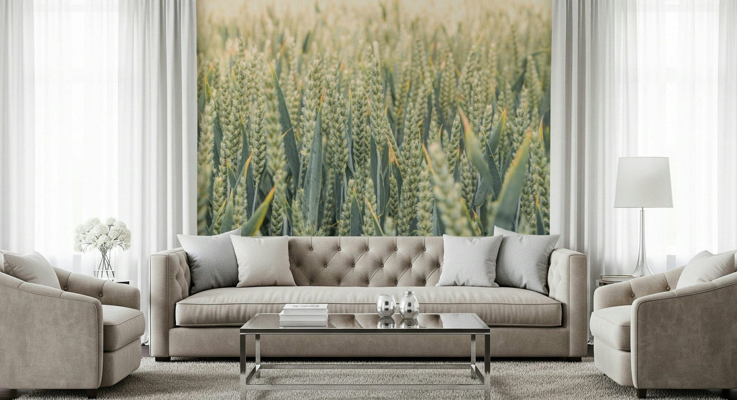 Calming botanical Whispering Wheat Fields Wall Mural room feature.