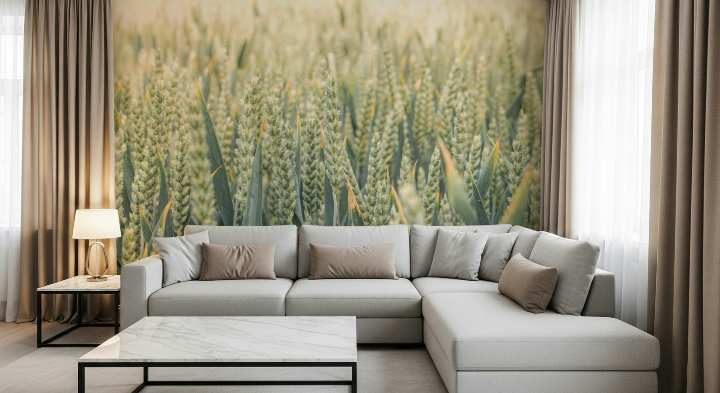 Soft light Whispering Wheat Fields Wall Mural on grain stalks.