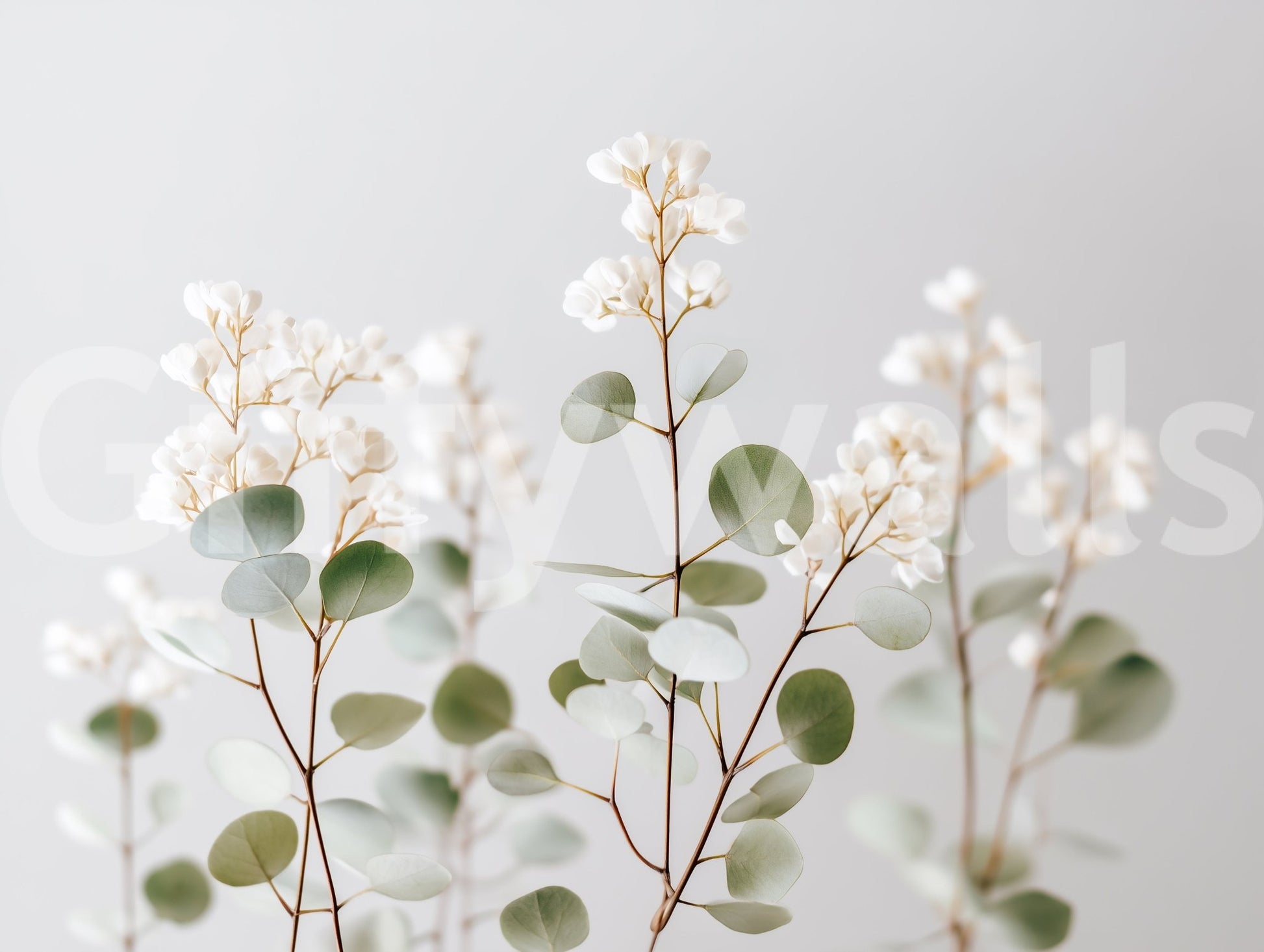 Elegant flower wall mural with fine detail

