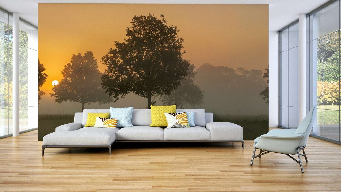 Morning glow wall mural background, GD2048
