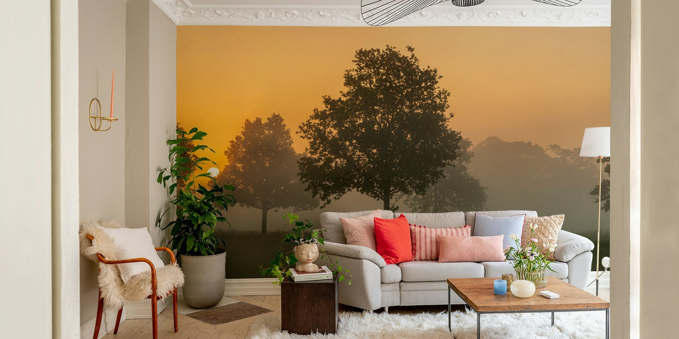 Whispers of Dawn wall mural design

