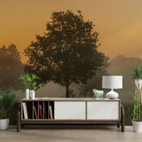 Misty morning landscape wall mural, GD2048