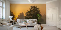 Soft sunrise tones wallpaper mural, GD2048