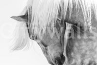 A high-quality abstract print wall mural for walls.