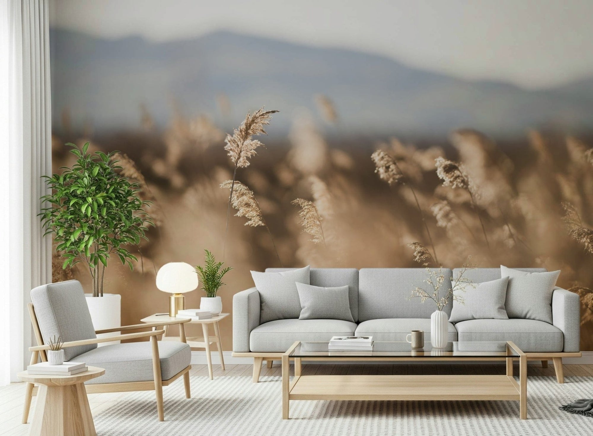 A beautiful serene field wallpaper mural with subtle, hazy light., GD5679