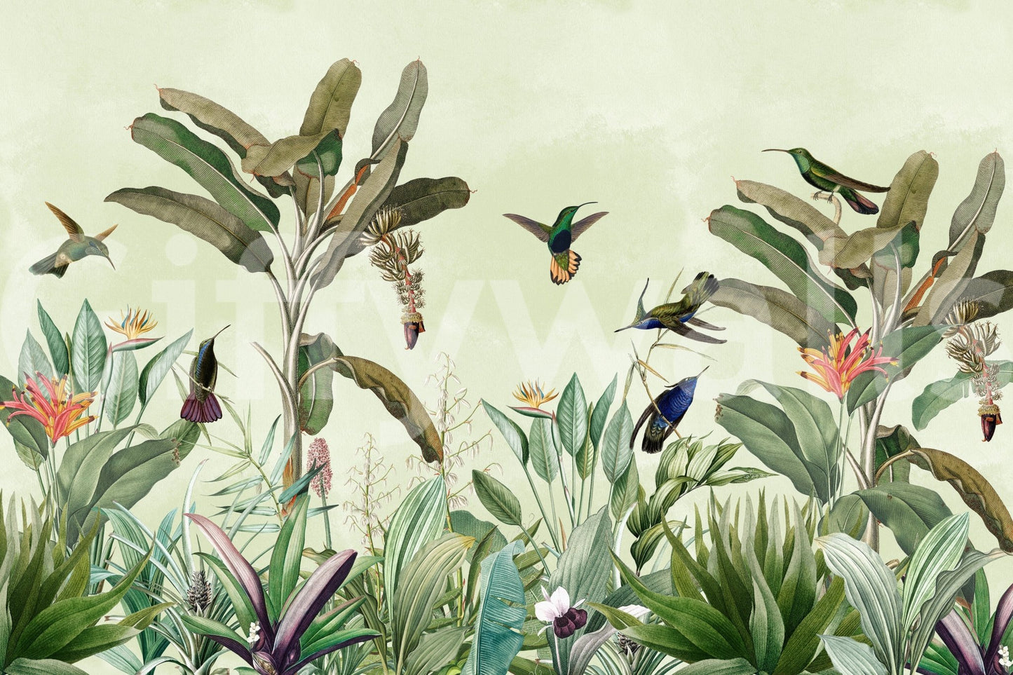 Fresh jungle mural with wildlife for wall decoration

