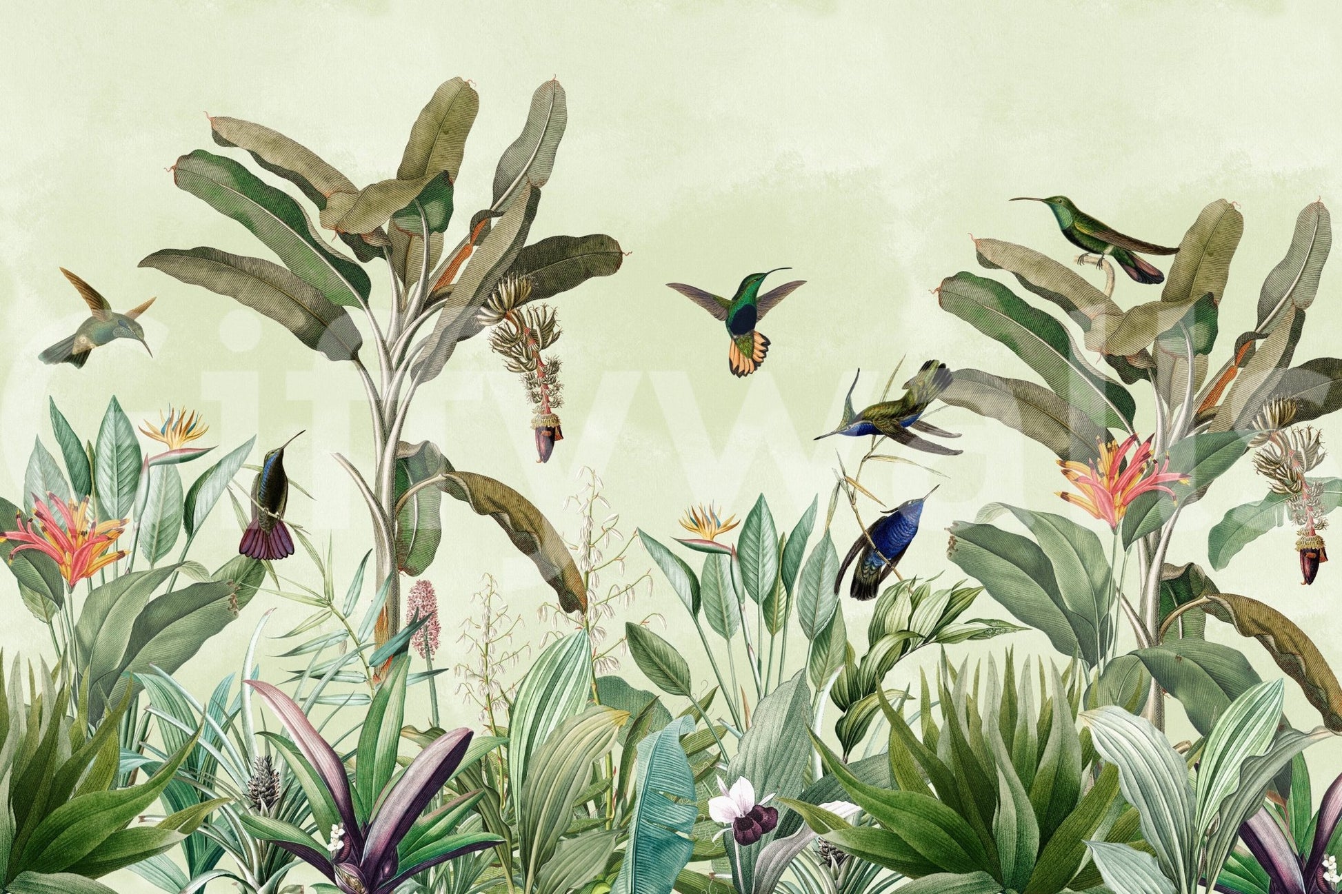 Fresh jungle mural with wildlife for wall decoration

