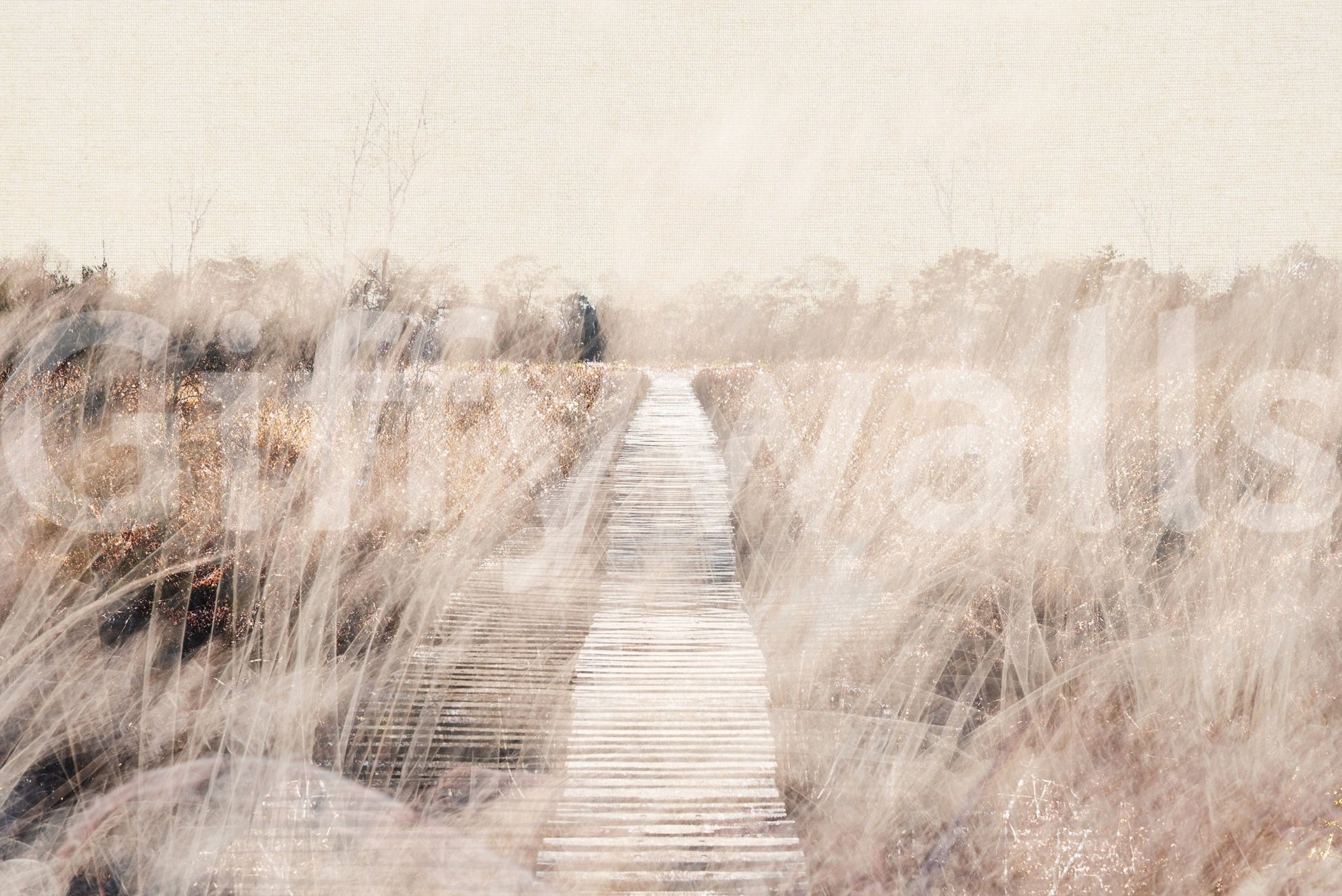 A high-quality minimalist wall mural for walls., GD5605
