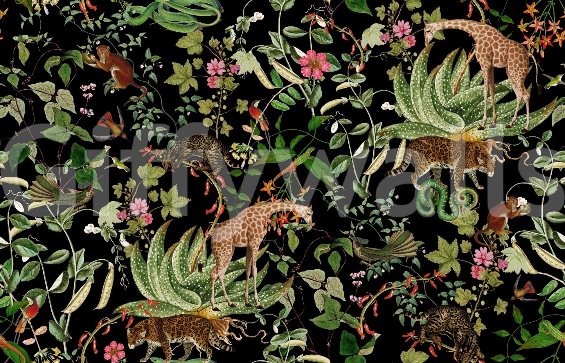 Whispers of the Wild Wallpaper⁠