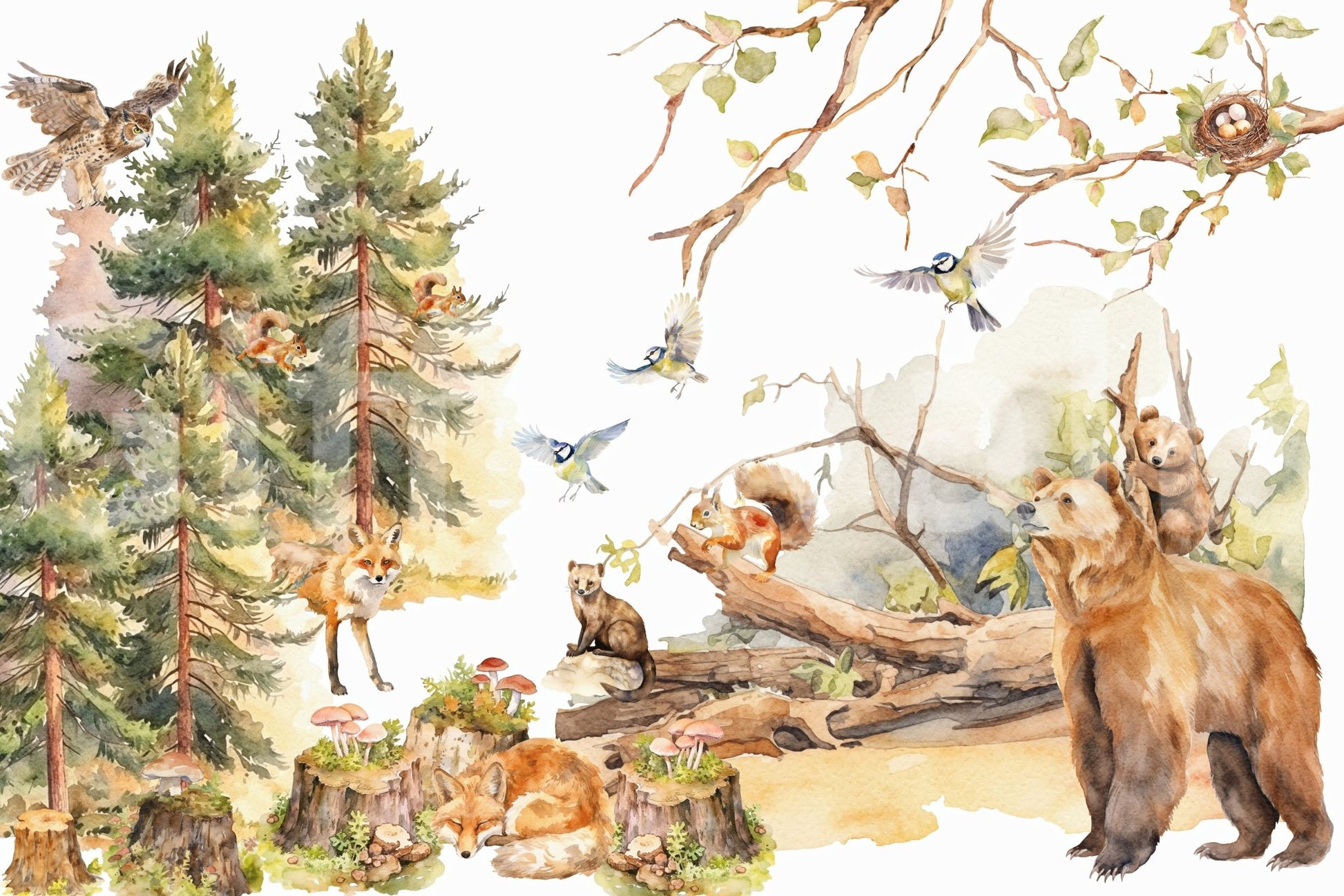 Whimsical Wildwood wall mural with trees and animals, GD1243