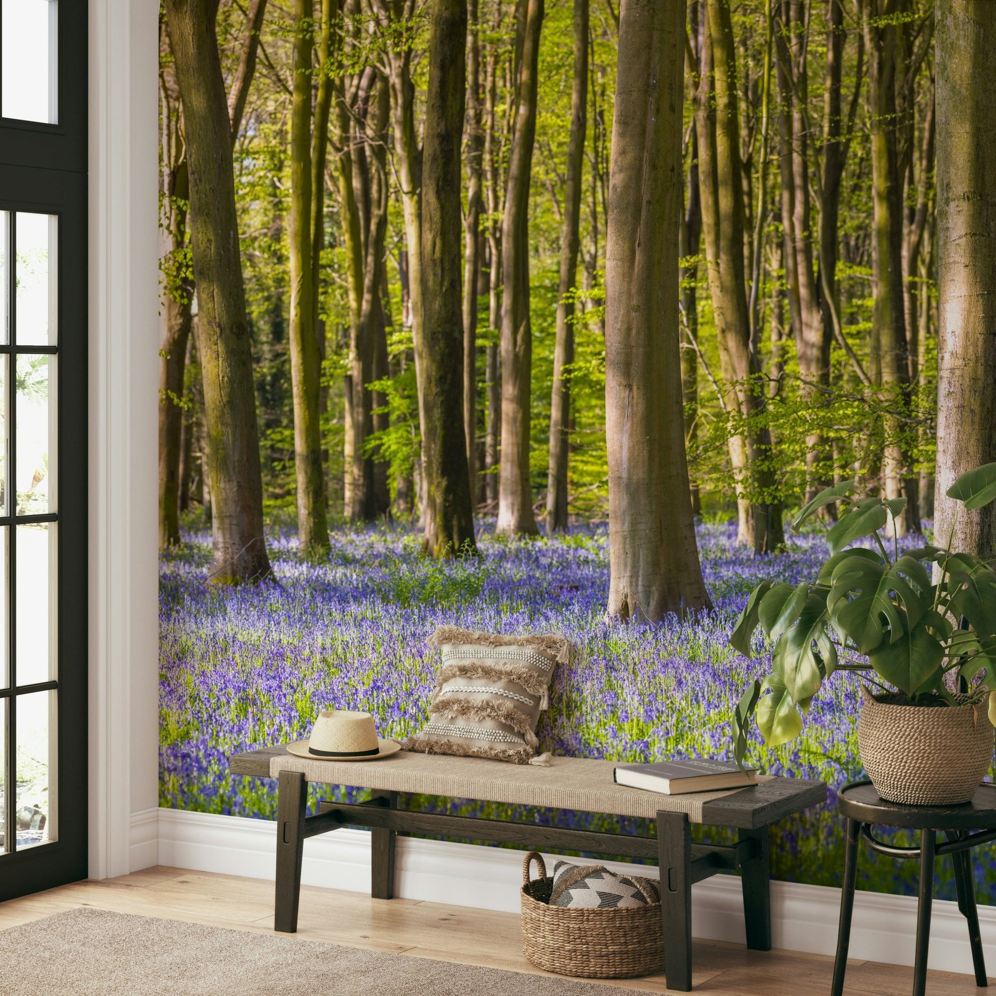 The image feels peaceful and restful, like a quiet walk.

