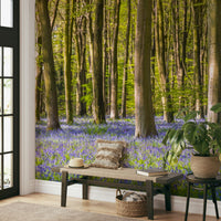 The image feels peaceful and restful, like a quiet walk.

