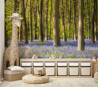 The overall feel is quiet and serene.

