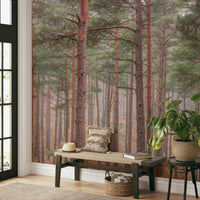 The lighting creates a soft, natural glow.

