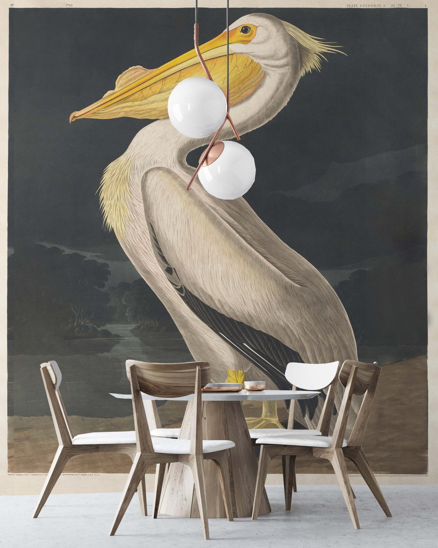 White Pelican Wallpaper Mural