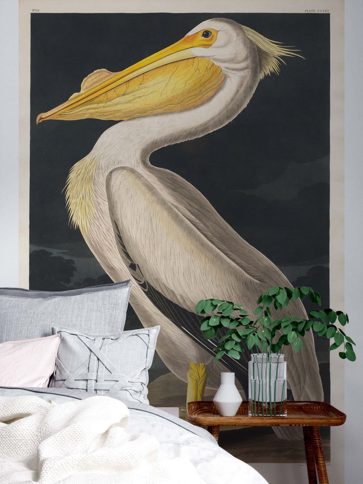 White Pelican Wallpaper Mural