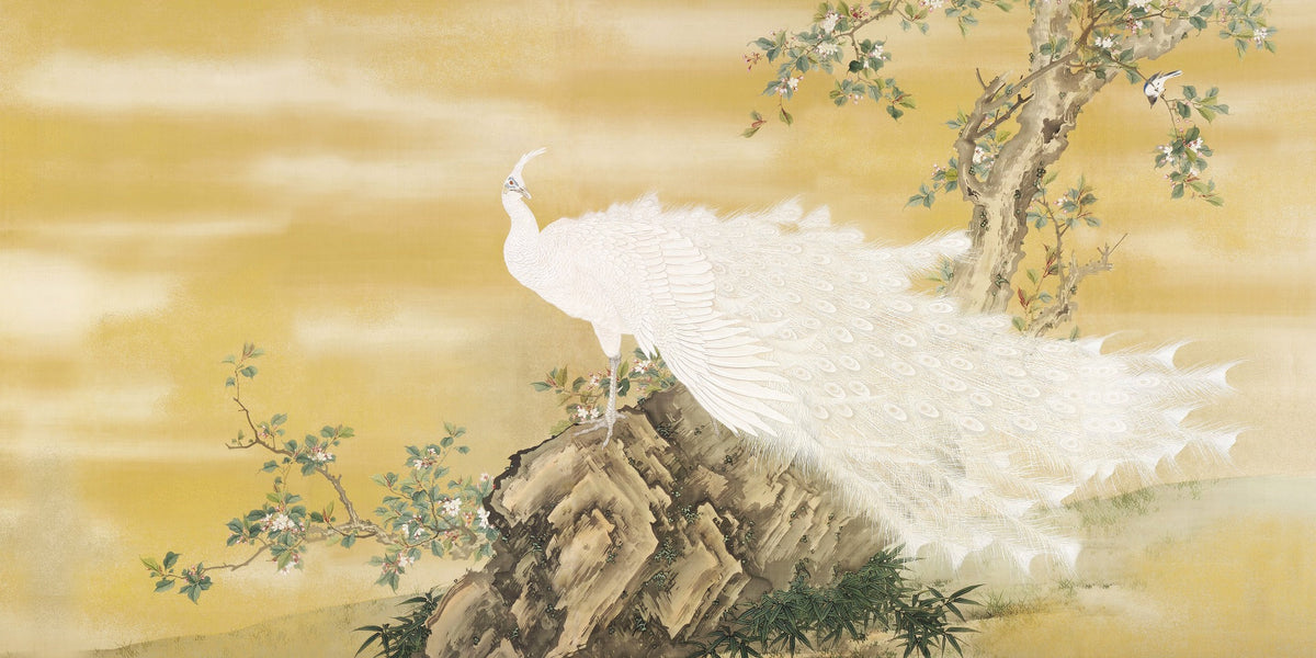 Majestic Albino Bird Wall Murals in your room — zoomed