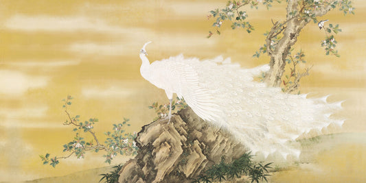 Majestic Albino Bird Wall Murals